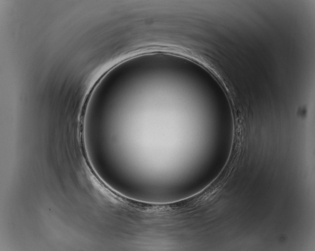 X0000116161535200911231353