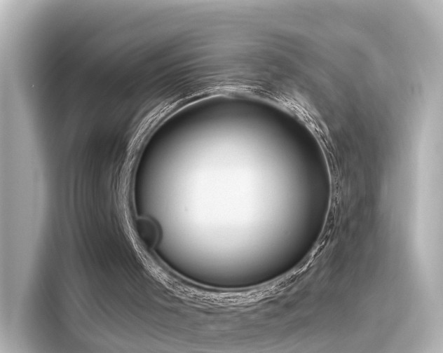 X0000116160001200911301612