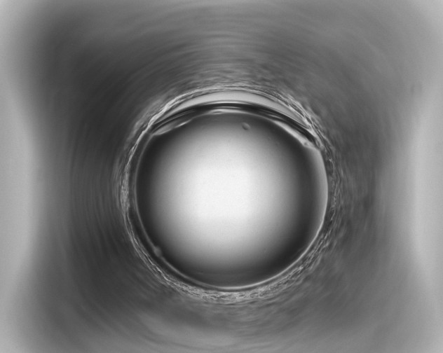 X0000116160002200911301612