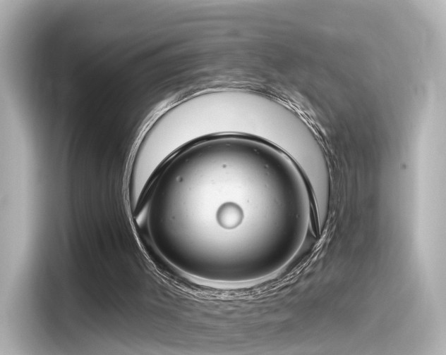 X0000116160003200911301612