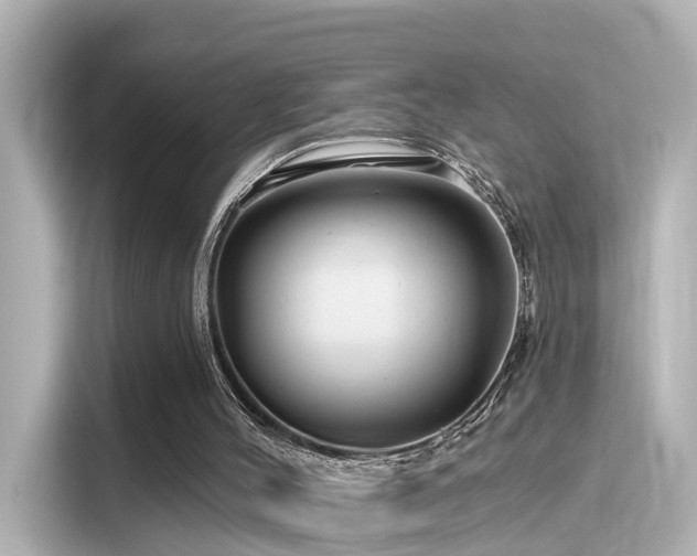 X0000116160004200911301612