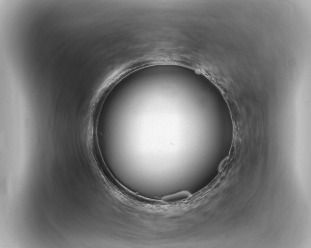 X0000116160005200911301612