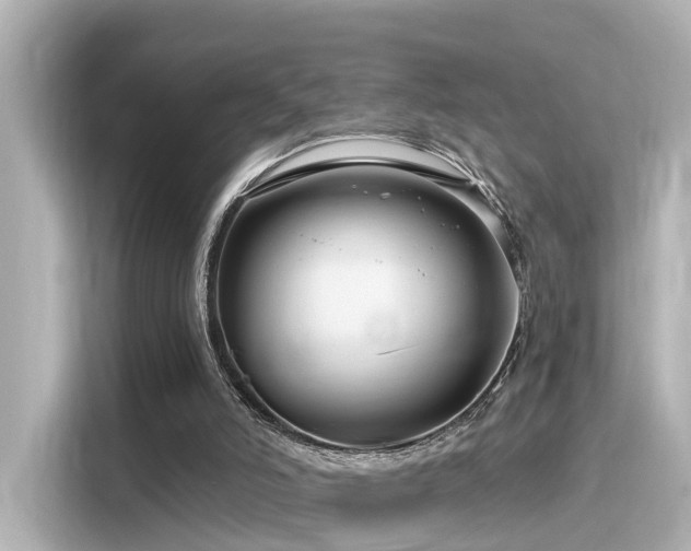 X0000116160006200911301612