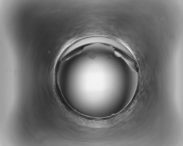 X0000116160008200911301612