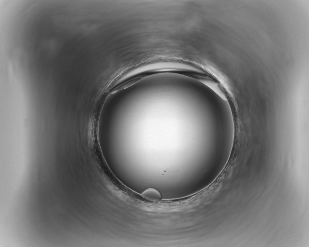 X0000116160009200911301612