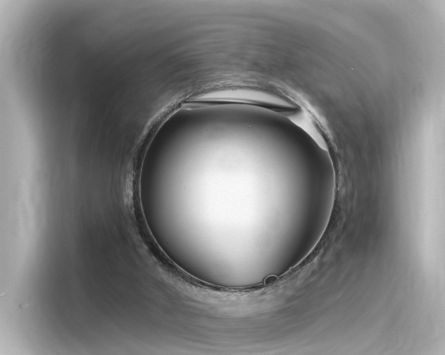 X0000116160010200911301612