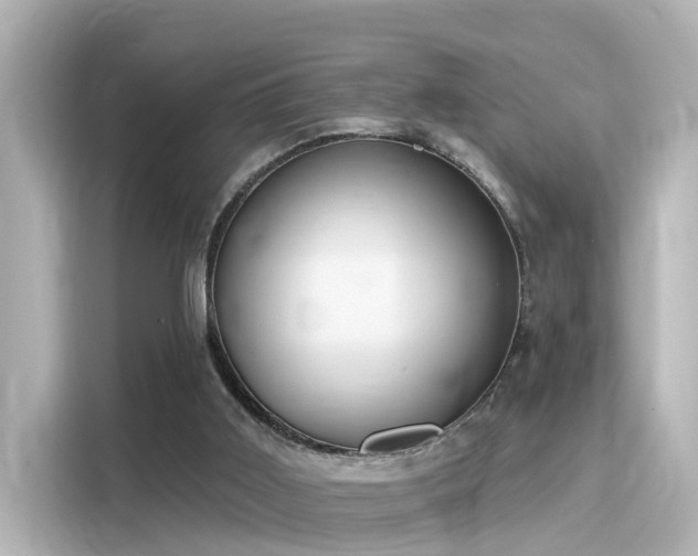 X0000116160011200911301611