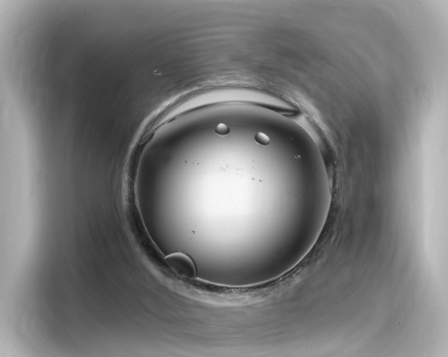 X0000116160012200911301611