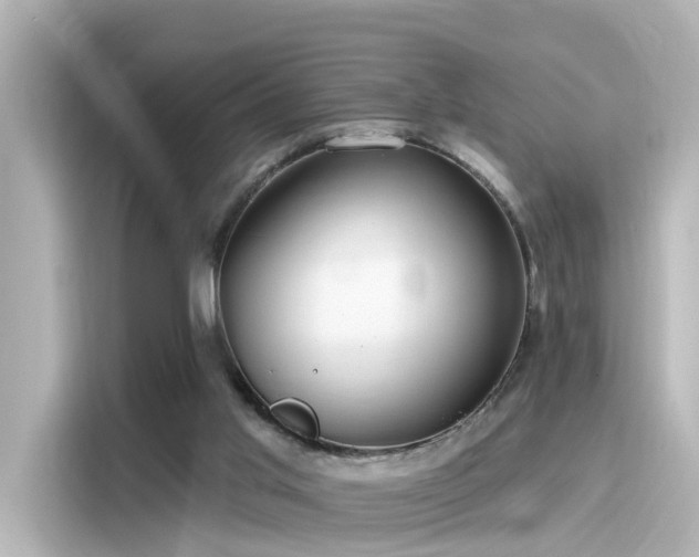 X0000116160013200911301611