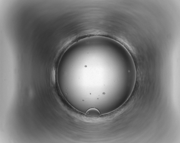 X0000116160014200911301611