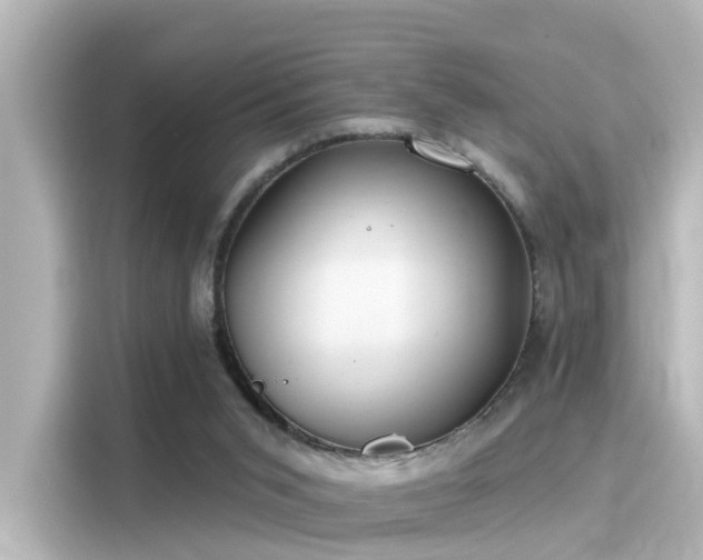 X0000116160015200911301611