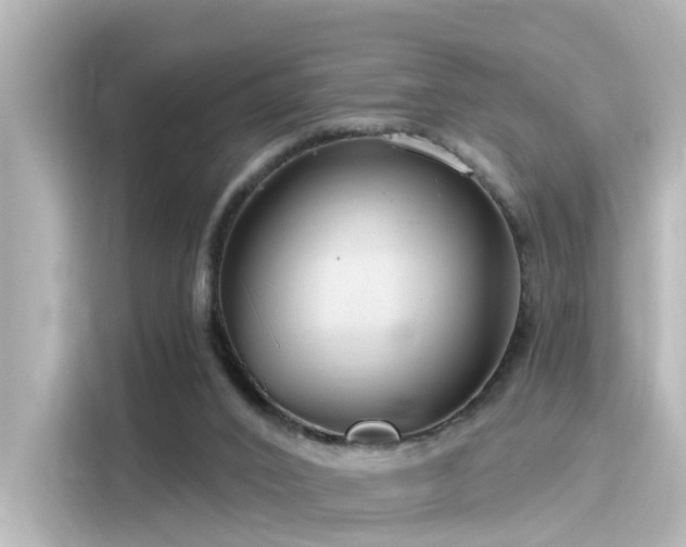 X0000116160016200911301611