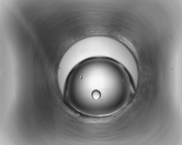 X0000116160017200911301611