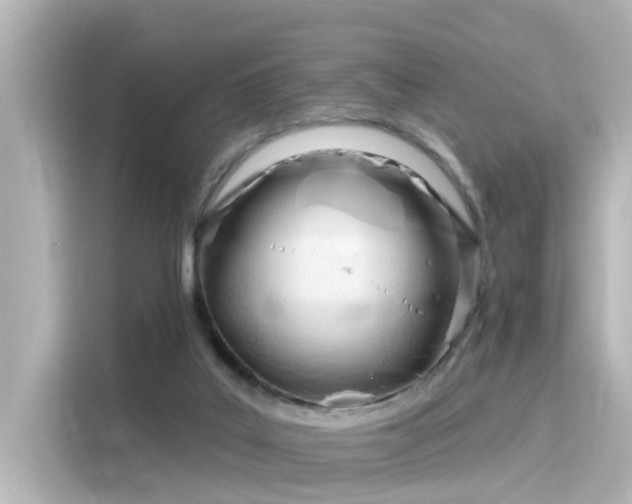 X0000116160019200911301611