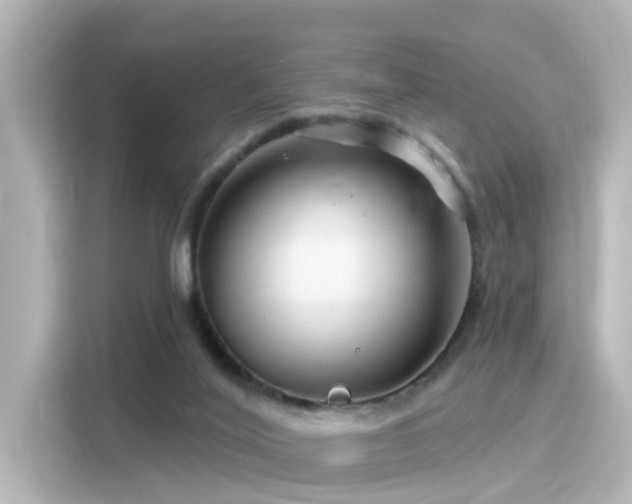 X0000116160020200911301611