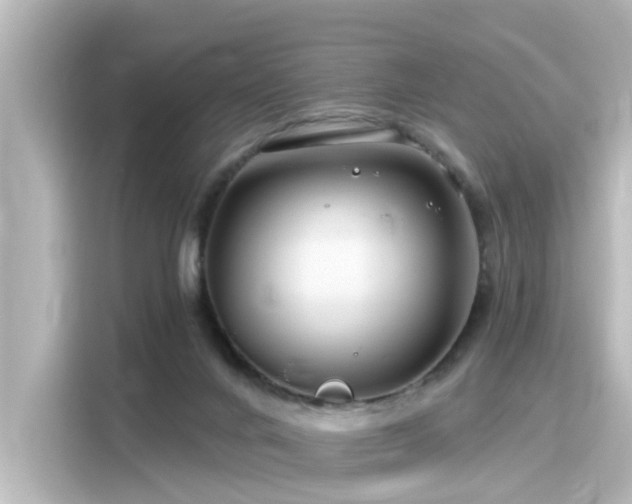 X0000116160024200911301611