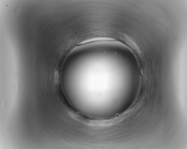 X0000116160025200911301611