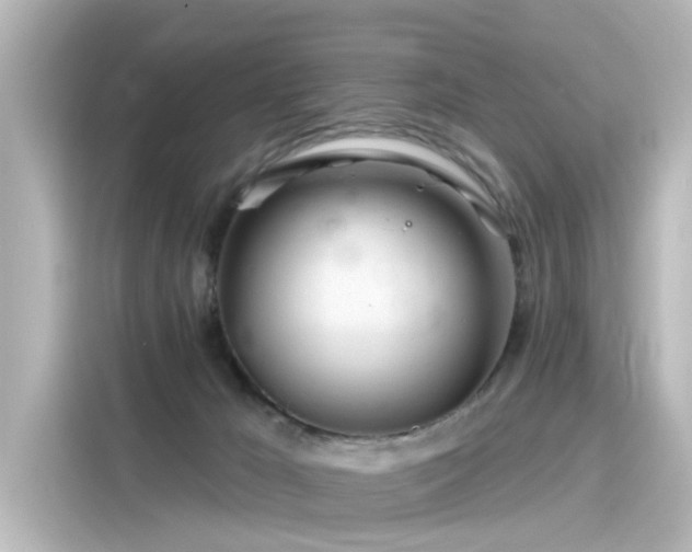 X0000116160029200911301611