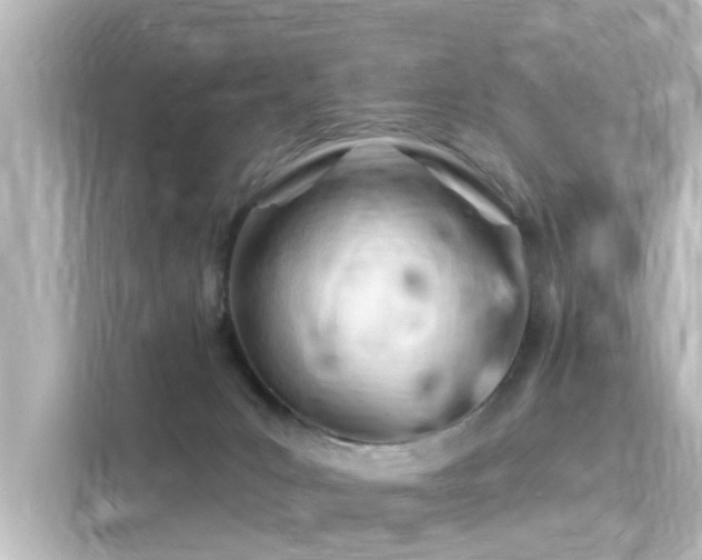 X0000116160031200911301611