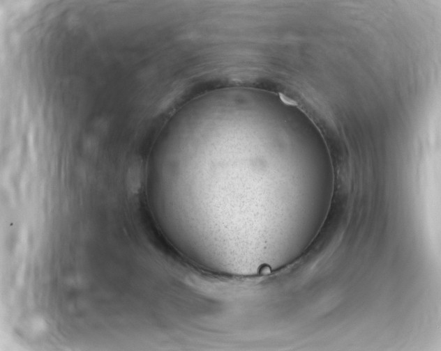 X0000116160032200911301611