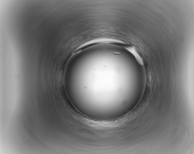 X0000116160034200911301611