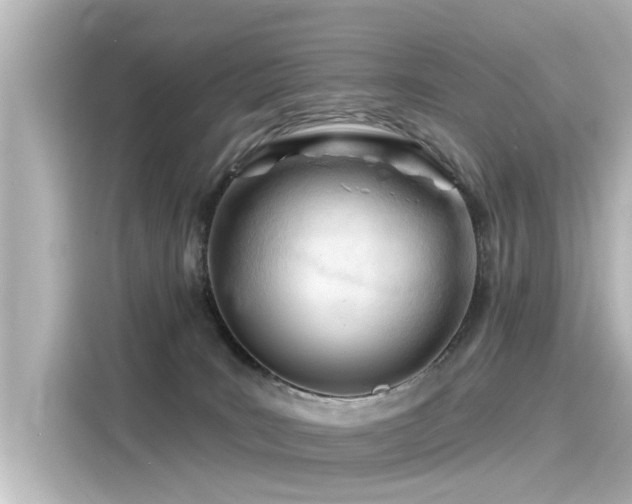 X0000116160035200911301611