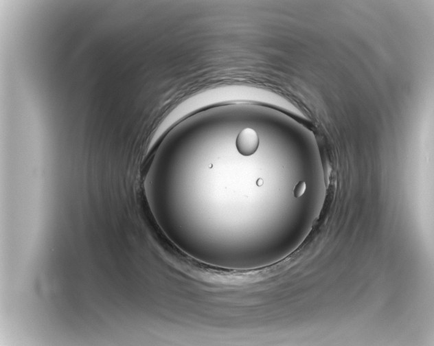 X0000116160036200911301611