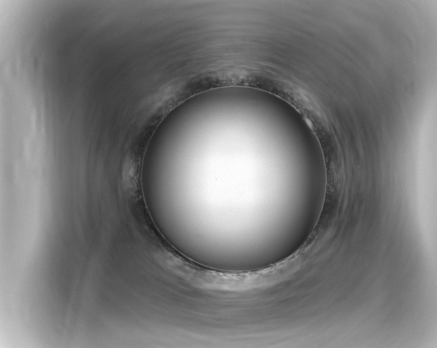 X0000116160037200911301611