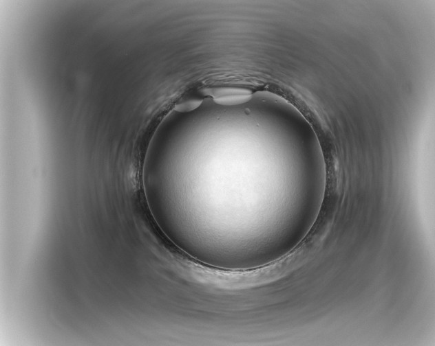 X0000116160039200911301611