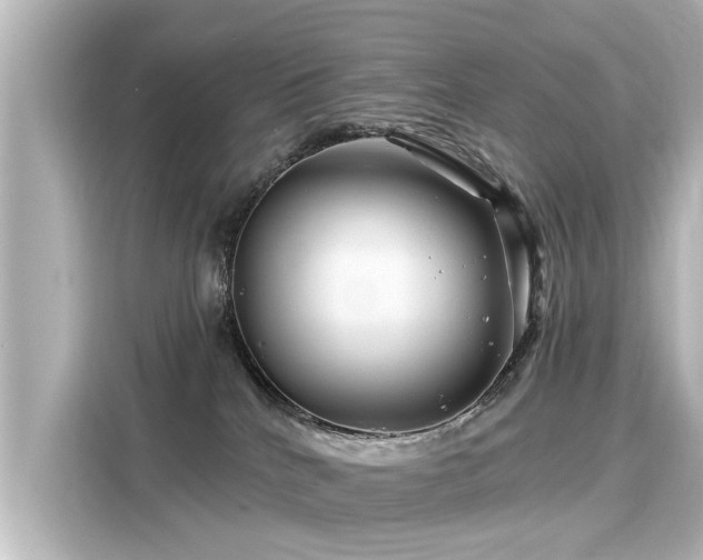 X0000116160040200911301611