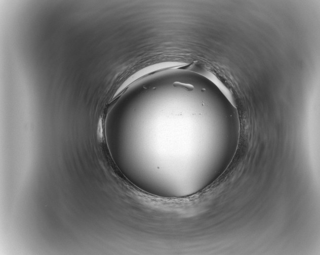 X0000116160042200911301611