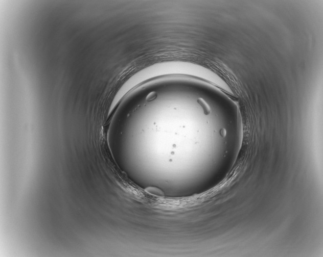 X0000116160045200911301611