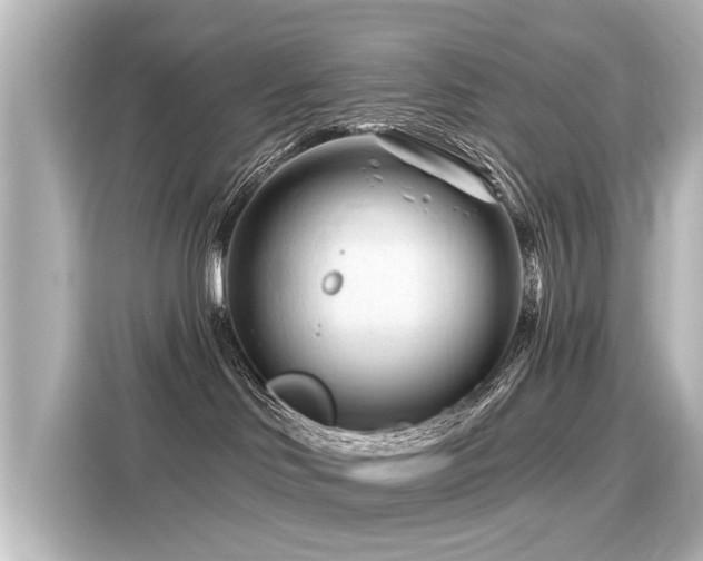 X0000116160046200911301611