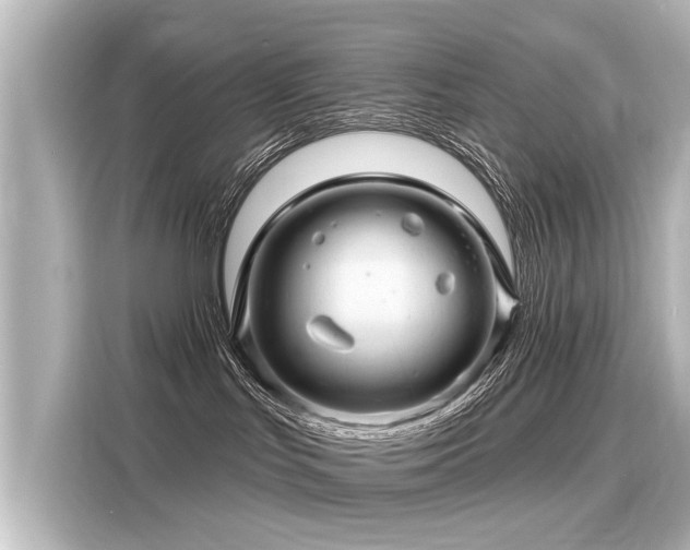 X0000116160047200911301611