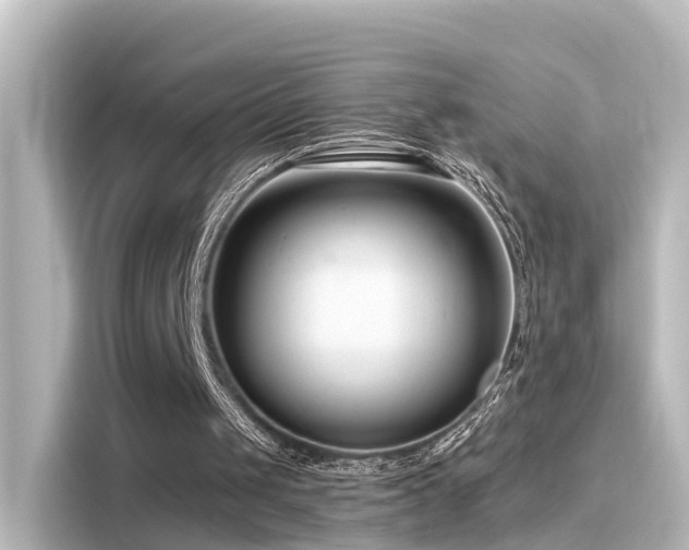 X0000116160049200911301610