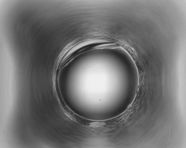 X0000116160051200911301610