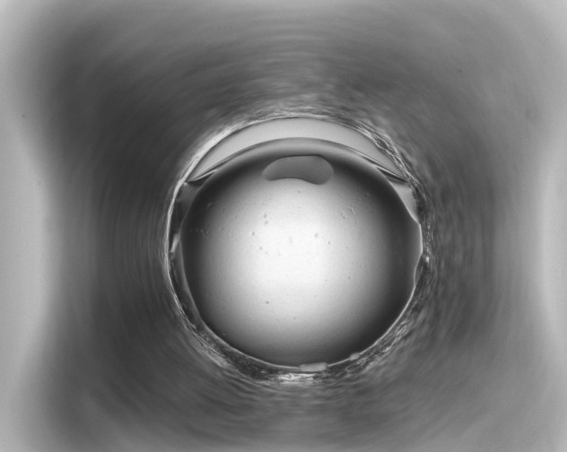 X0000116160052200911301610