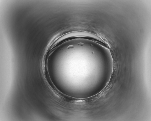 X0000116160053200911301610