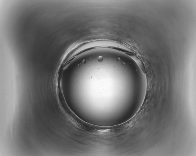 X0000116160054200911301610