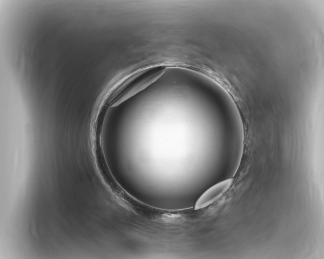 X0000116160055200911301610