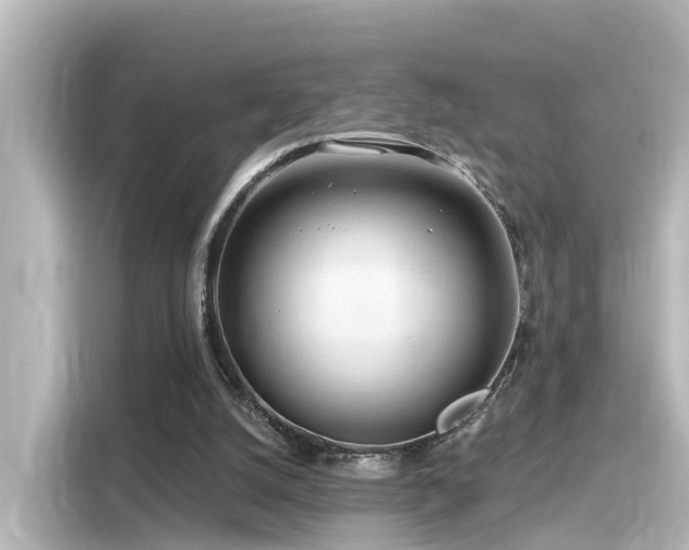 X0000116160056200911301610