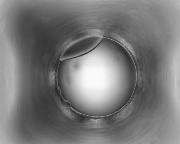 X0000116160057200911301610