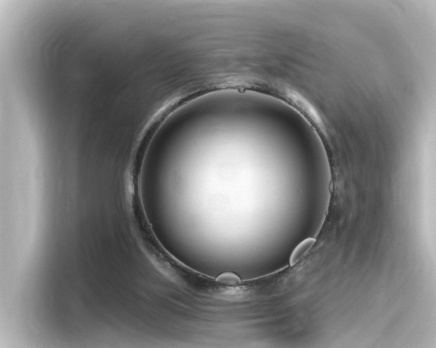 X0000116160059200911301610