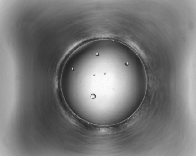 X0000116160060200911301610