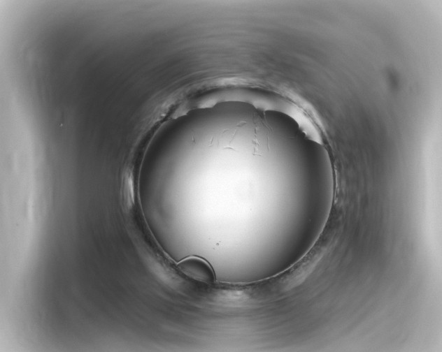 X0000116160061200911301610