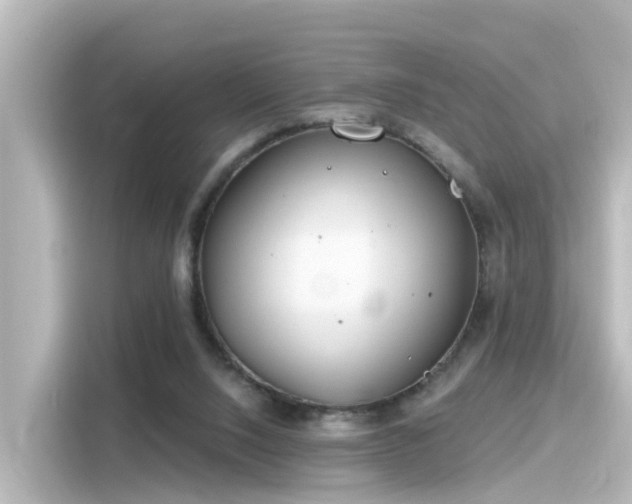 X0000116160064200911301610