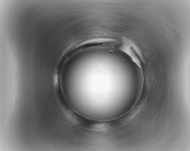 X0000116160067200911301610