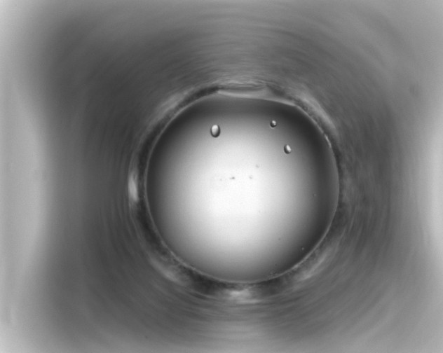 X0000116160068200911301610