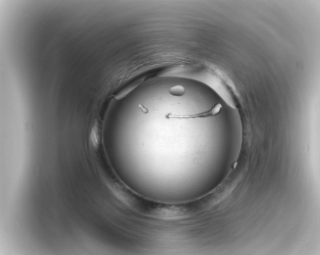 X0000116160069200911301610