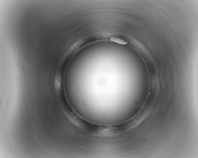 X0000116160072200911301610